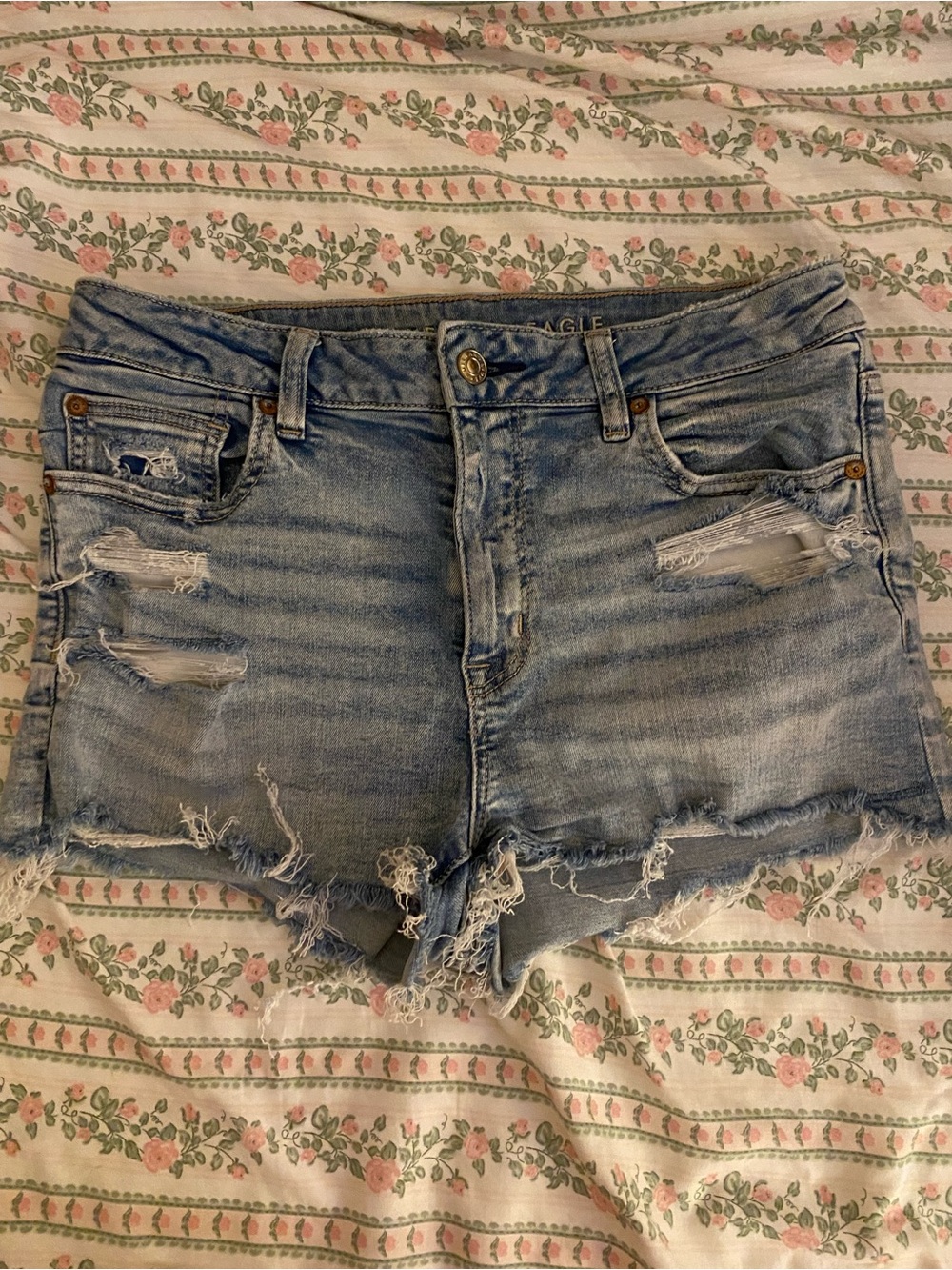 American Eagle Outfitters Light Blue Distressed Denim Shorts